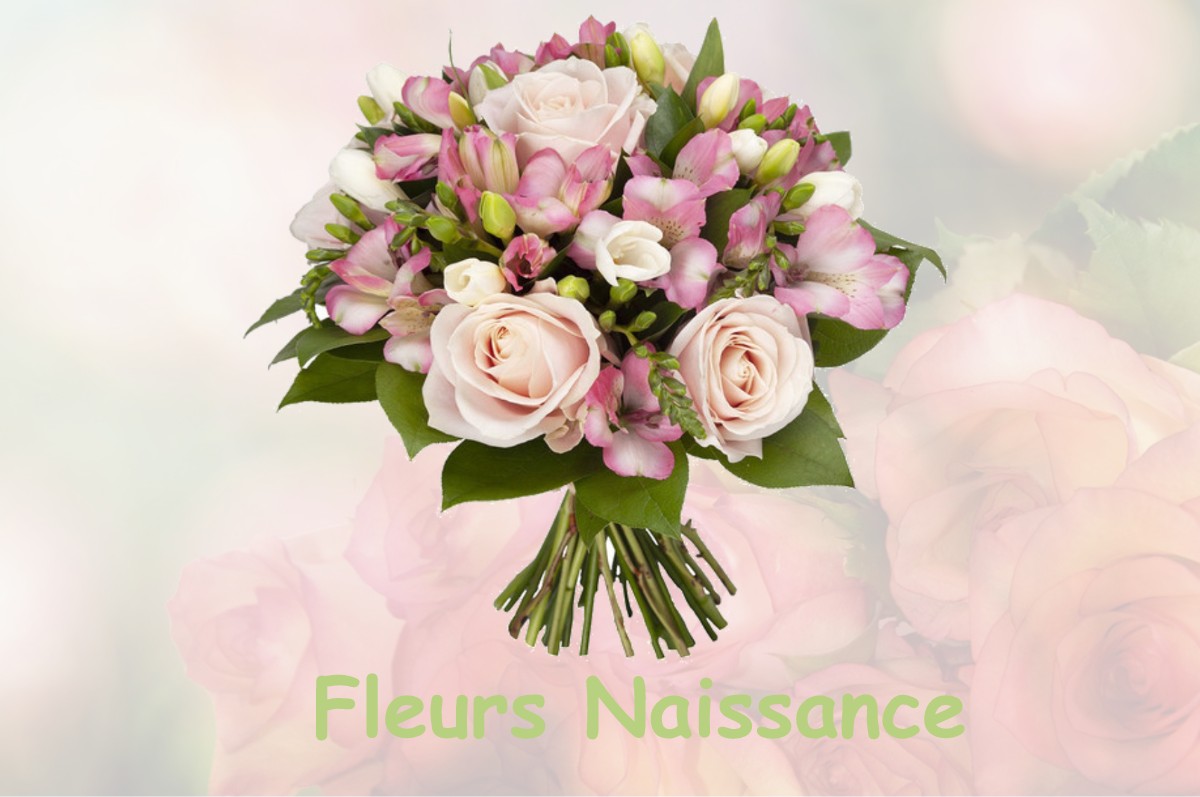 fleurs naissance MONTASTRUC-LA-CONSEILLERE