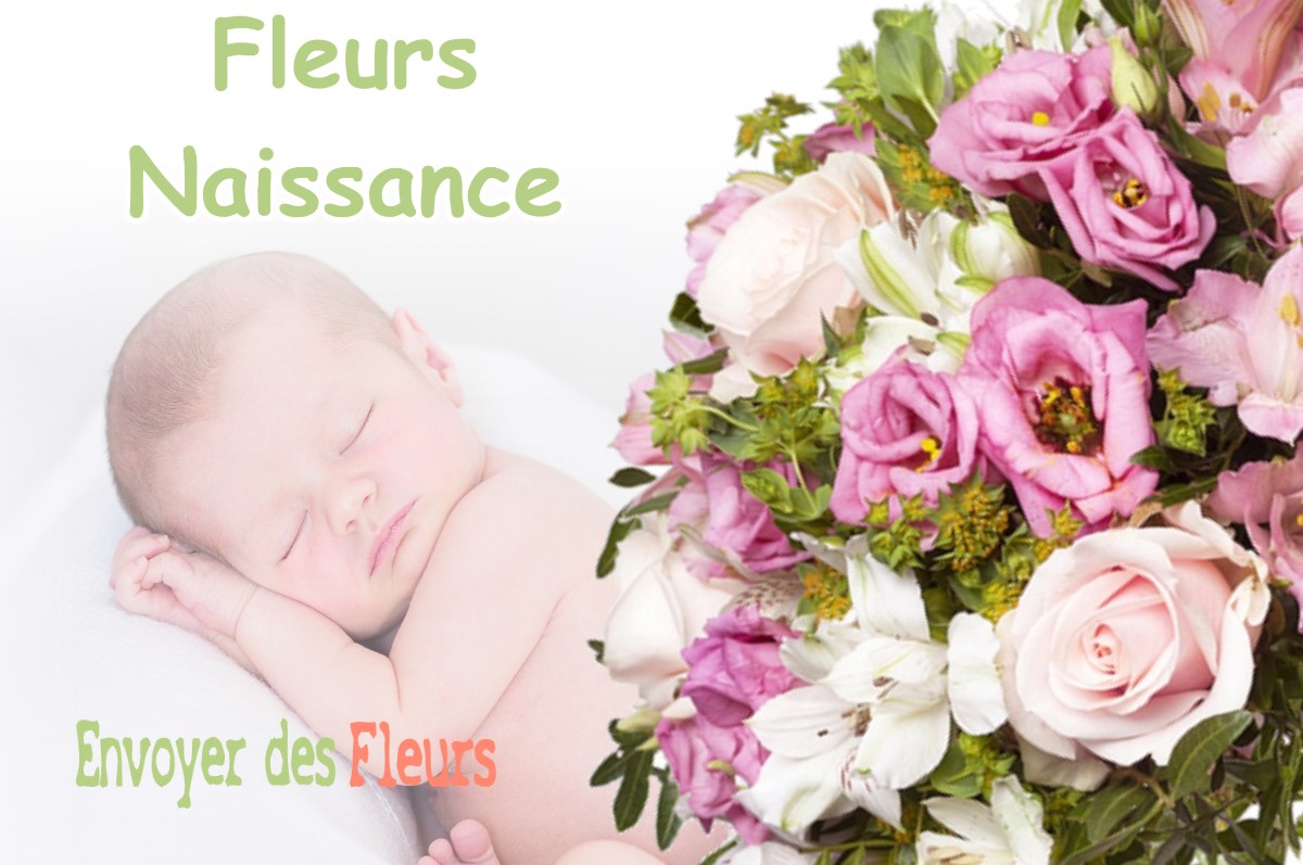 lIVRAISON FLEURS NAISSANCE à MONTASTRUC-LA-CONSEILLERE