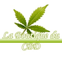 LA BOUTIQUE DU CBD MONTASTRUC-LA-CONSEILLERE 